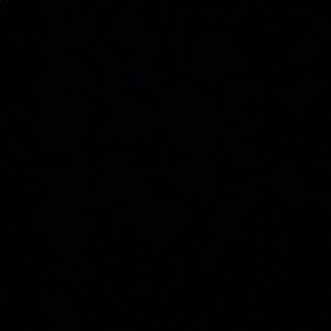 Meet your Posher, Natalia